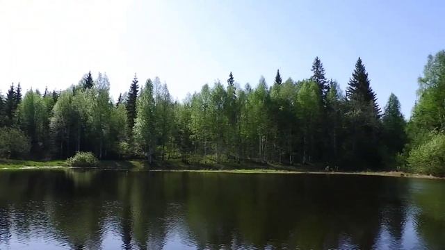 Река Лепша звуки природы релаксация смотреть онлайн