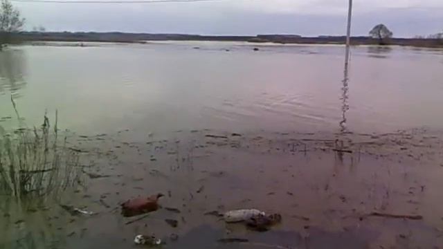 река Белая затопила Поселок смотреть онлайн