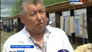 классировка шерсти