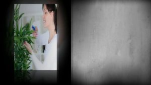 Цветок РЕО, ТРАДЕСКАНЦИЯ. Уход и разведение в домашних условиях