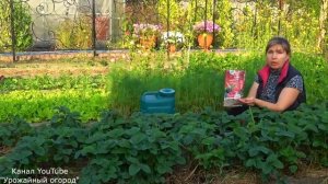 ОРГАНИК МИКС ДЛЯ КЛУБНИКИ И ЯГОДНЫХ