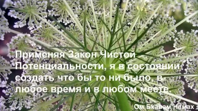 Марафон ИЗОБИЛИЯ Дипак Чопра 8 День Медитация Изобилие и Закон Чистой Потенциальности смотреть онлайн