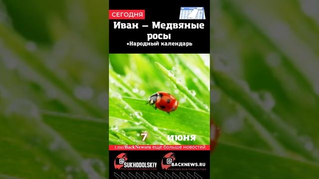 Сегодня, 7 июня, в этот день отмечают праздник, Иван — Медвяные росы