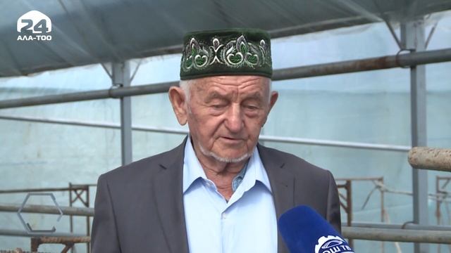 84 жаштагы Ибрагим ата 52 жылдан бери гүл өстүрүп, атайын күнөскана курган | Өнүгүүгө карай смотреть онлайн