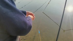 The longest fishing rod I have ever seen! 32 meters[subs]