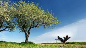 Михаил Башаков — Не парься