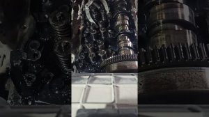 извлечение стаканчиков форсунок dxi 11 и мысли в слух