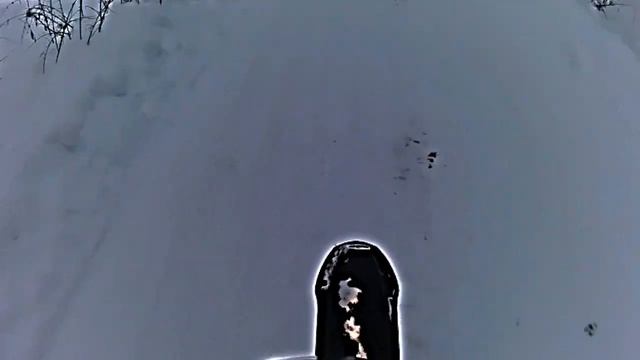 ЗИМНИЙ ДРИФТ! питбайк. РОЛиков БОльшЕ не Будет! #питбайк #ирбис #дрифт #зима #пит #тикток смотреть онлайн