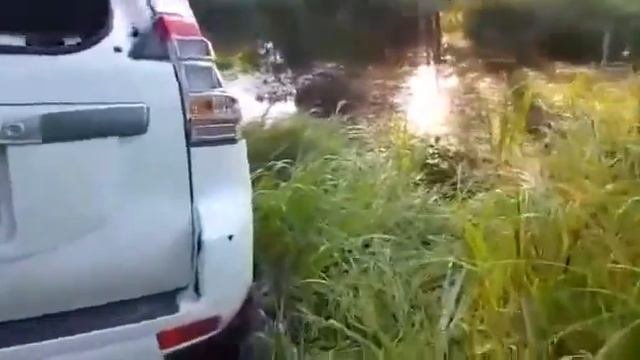 Вот что происходит когда пьяный и зарулем