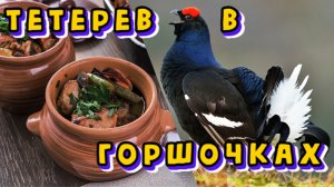 Тетерев-косач в горшочках .