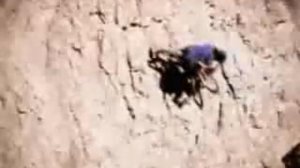 Экстримальный велоспорт