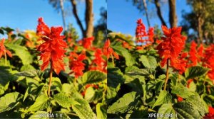 Sony Xperia 1 V vs Sony Xperia Pro-I Camera Test