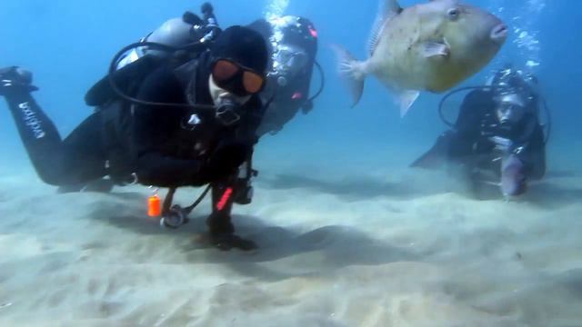 Fish & Chips смотреть онлайн