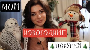ПОКУПКИ АШАН, ОБИ, ЛЕРУА МЕРЛЕН, ВАЙЛДБЕРРИЗ  К НОВОМУ ГОДУ! ЕЛОЧНЫЕ ИГРУШКИ НОВОГОДНИЙ ДЕКОР