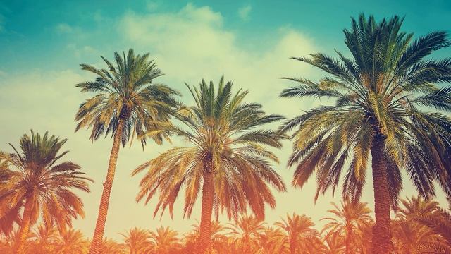 ПУМБ Как правильно брать кредит смотреть онлайн