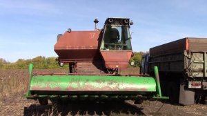Уборка подсолнечника, и выгрузка семечек из комбайна в камаз