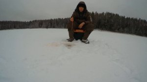 ЛОВЛЯ ОКУНЯ НА БЛЕСНУ , ПРАКТИЧЕСКИ ГЛУХОЙ СЕЗОН .