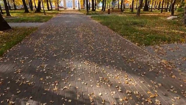 прогулка на электросамокате смотреть онлайн