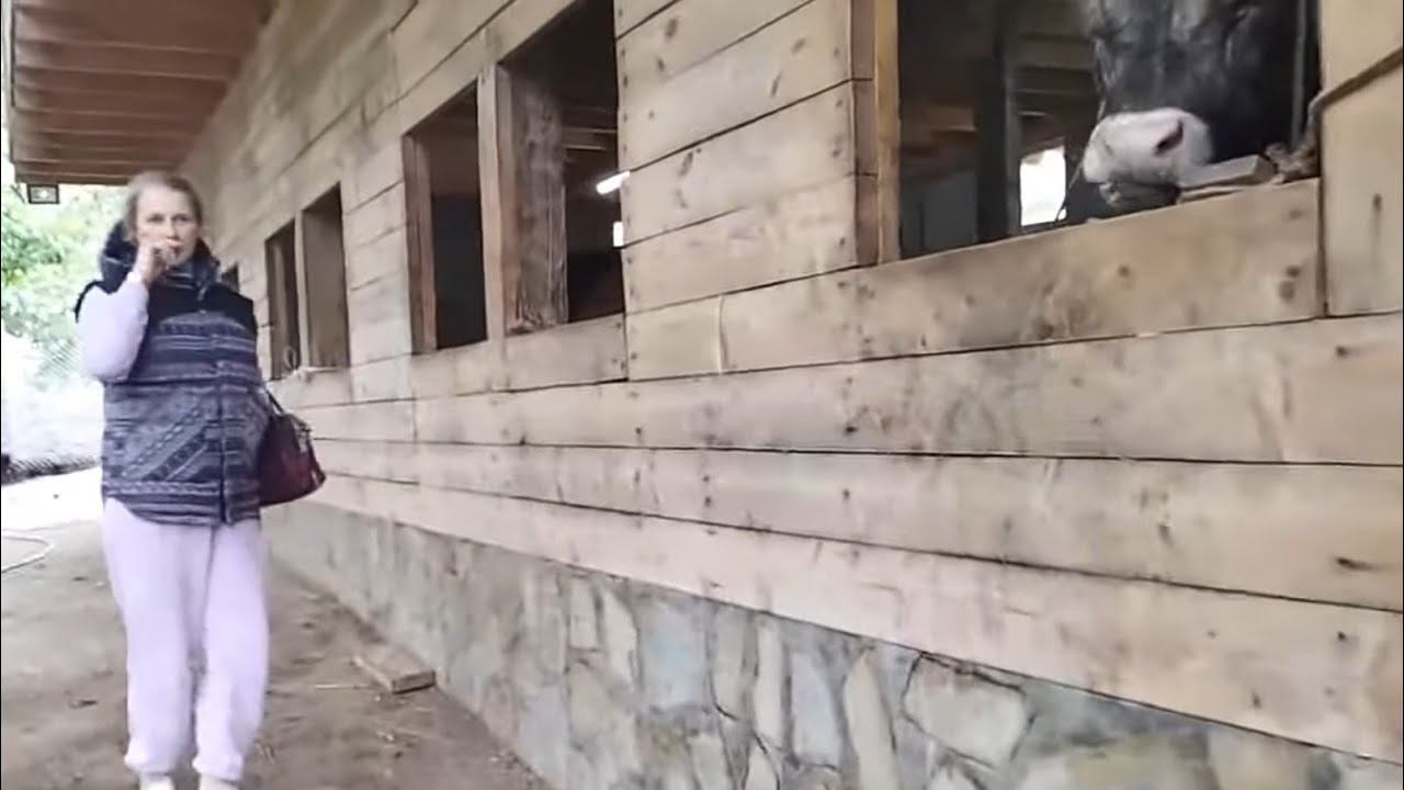 Экоферма В Сочи / Дегустация Сыра / Обзор Фермы  Козы ,Кони