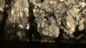 Крым. 1967 год