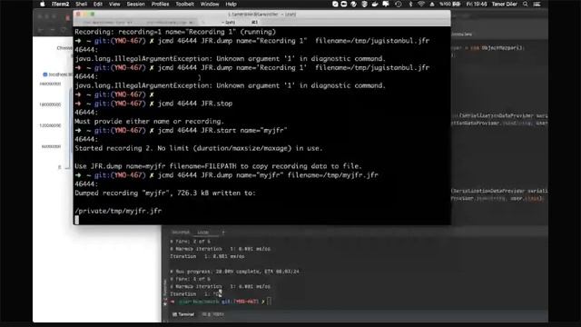 Java 9 to 14: Java 11 & 12