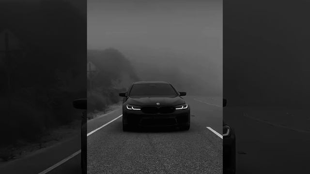 M5