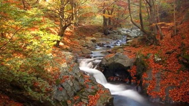 МЕЛОДИЯ ОСЕНИ. смотреть онлайн