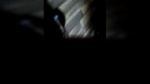Вызываю домового у себя дома