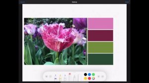 From Adobe Photoshop to the Photos App in iPad OS 14