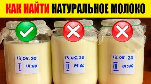 Как найти натуральное молоко из магазинного, где много полезных бифидо-лакто бактерий