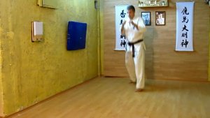 Боевая стойка перемещение комплекс (6 движений) /кекусинкай каратэ /бокс / муай тай /ММА