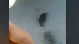 Гремят тормозные колодки vw golf 3 - решение