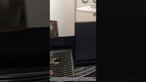 Кофеварка saeco royal professional