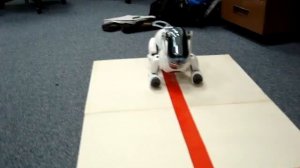 AIBO first automated start