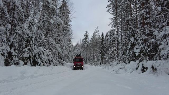 Делянка Карелия зимой