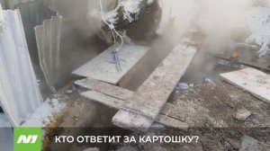 КТО ОТВЕТИТ ЗА КАРТОШКУ?