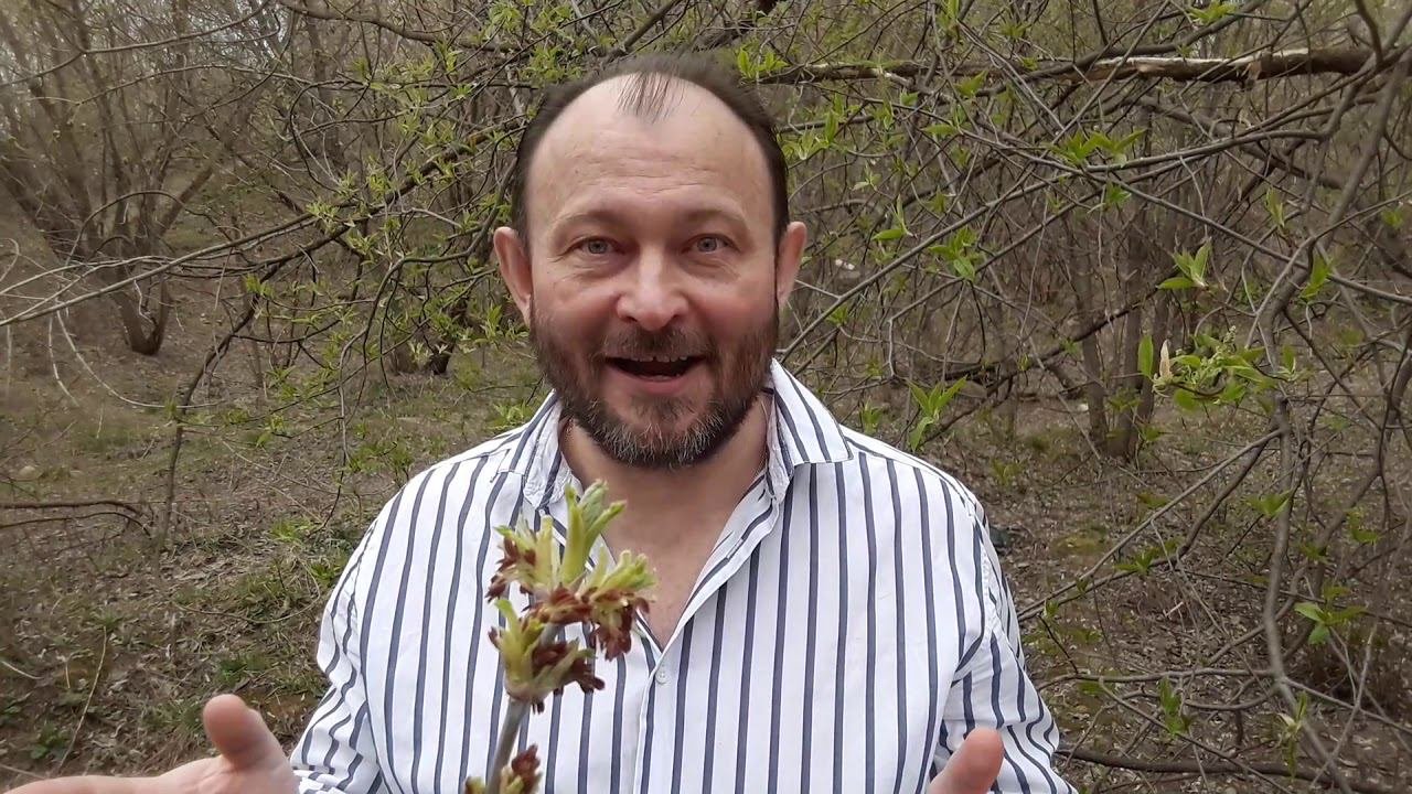 Дорожите любовью, люди Ирина Самарина-Лабиринт
