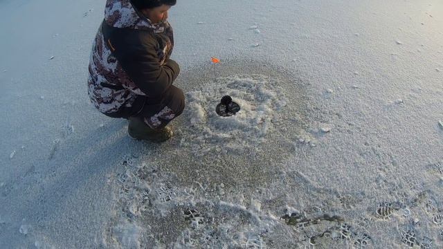 В поисках хищника Река Ишим 1 12 2017 смотреть онлайн