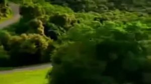 Реклама K-fee