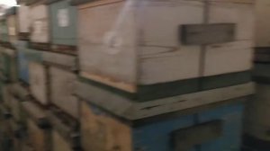 Современный омшаник на 1000 рут ульев