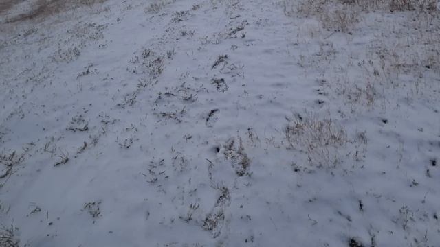 Охота на зайца - Открытие 2022 - 2023 смотреть онлайн