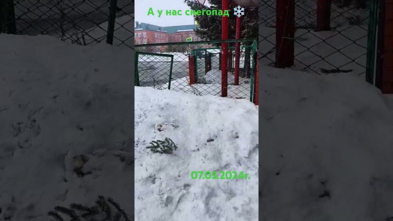 Снежный ❄️ день у нас сегодня будет, а на дворе -0 на 11:05ч.✅ 07.05.2024г. #shorts #рекоминдации