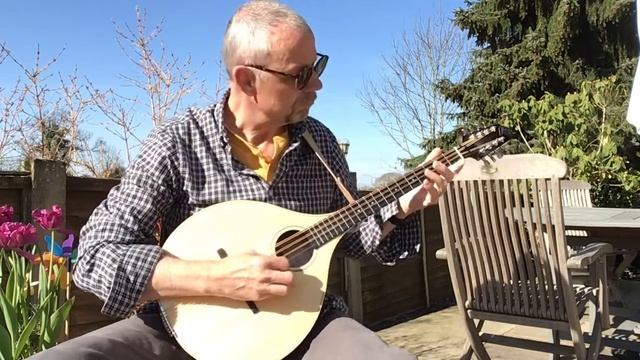 Saltarello (Anon) - Octave Mandola смотреть онлайн