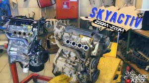 Анатомичка Skyaсtiv Mazda рука дружбы на 100к пробега