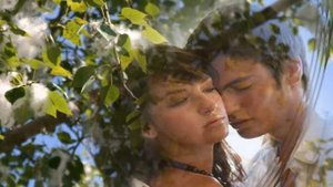 Тополя    тополя,все в пуху