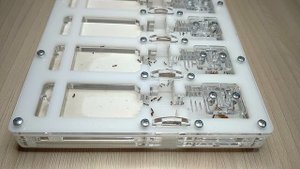 Tetramorium bicarinatum - каребары на минималках: обзор, описание, содержание и заселение