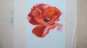 Пастель сухая [мастер-класс] [рисуем цветок]