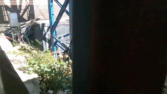 Как устанавливают строительный кран