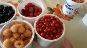 #ягоды / Популярные плодово-ягодные кустарники для начинающих садоводов.. Советы новичкам
