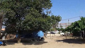 ЗАНЗИБАР 2021г. ОТЕЛЬ Amaan Nungwi Beach Resort. ПЛЯЖ НУНГВИ.
